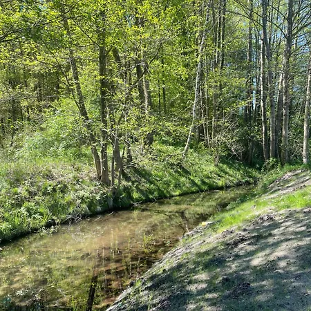 Tiny Silent House River Zblewo