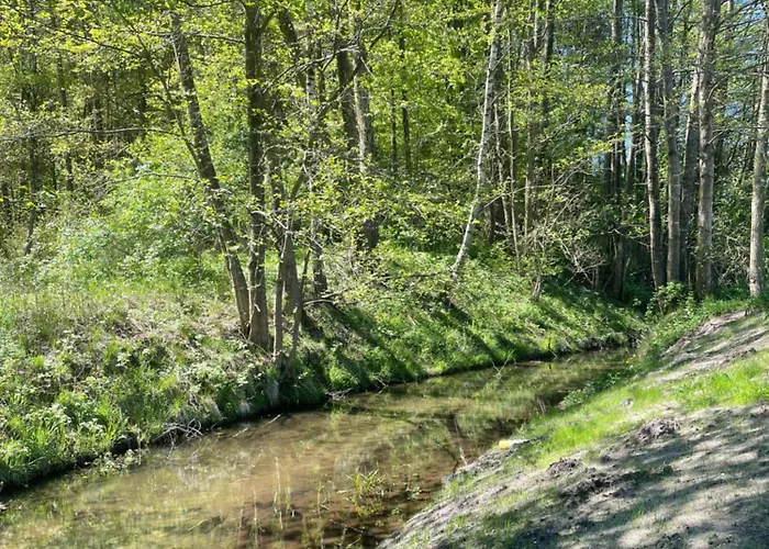 Tiny Silent House River زبليفو