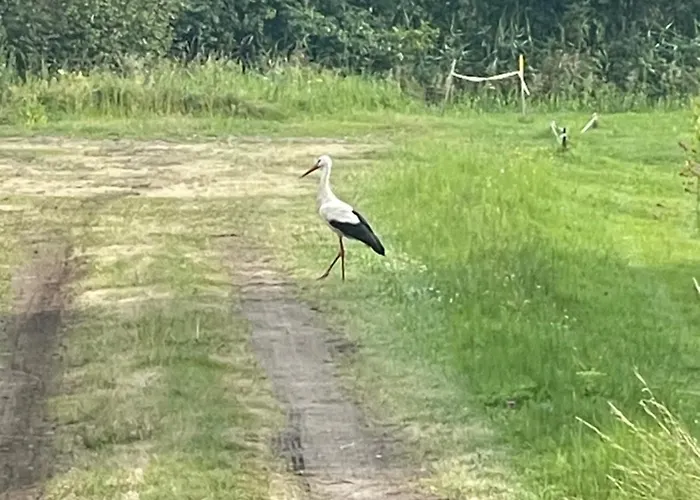 Tiny Silent House River * زبليفو