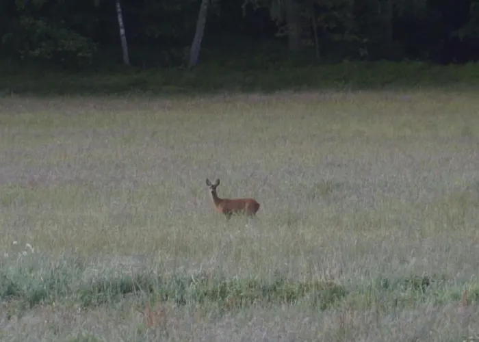 Tiny Silent House River زبليفو